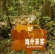 China: Rhesus monkey (Macaca mulatta), Wulingyuan Scenic Area (Zhangjiajie), Hunan Province